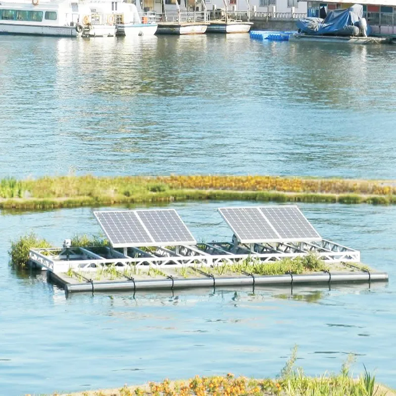 Projeto de gestão do rio